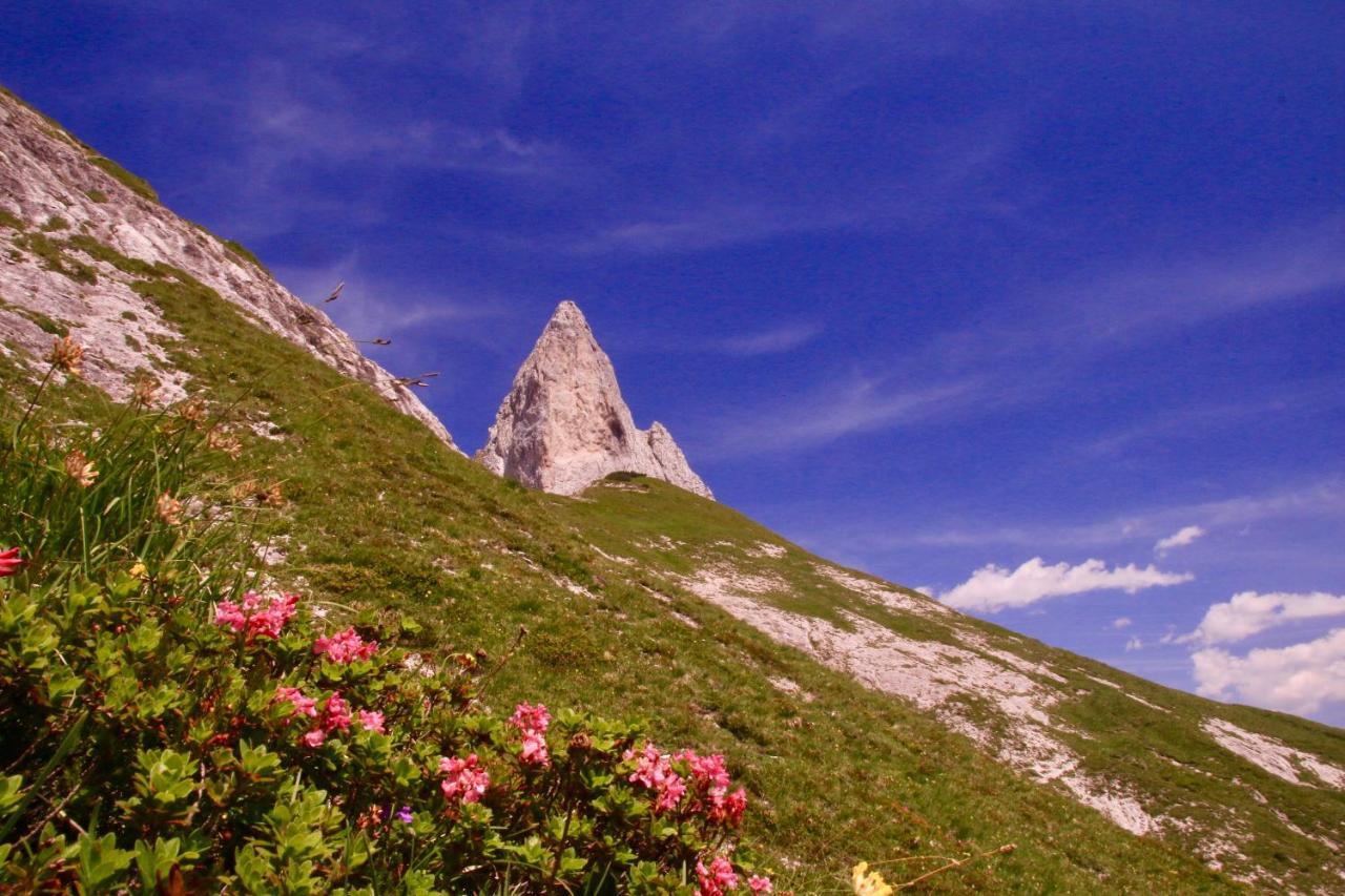 Schermerhuetten Tauplitzalm Exterior foto
